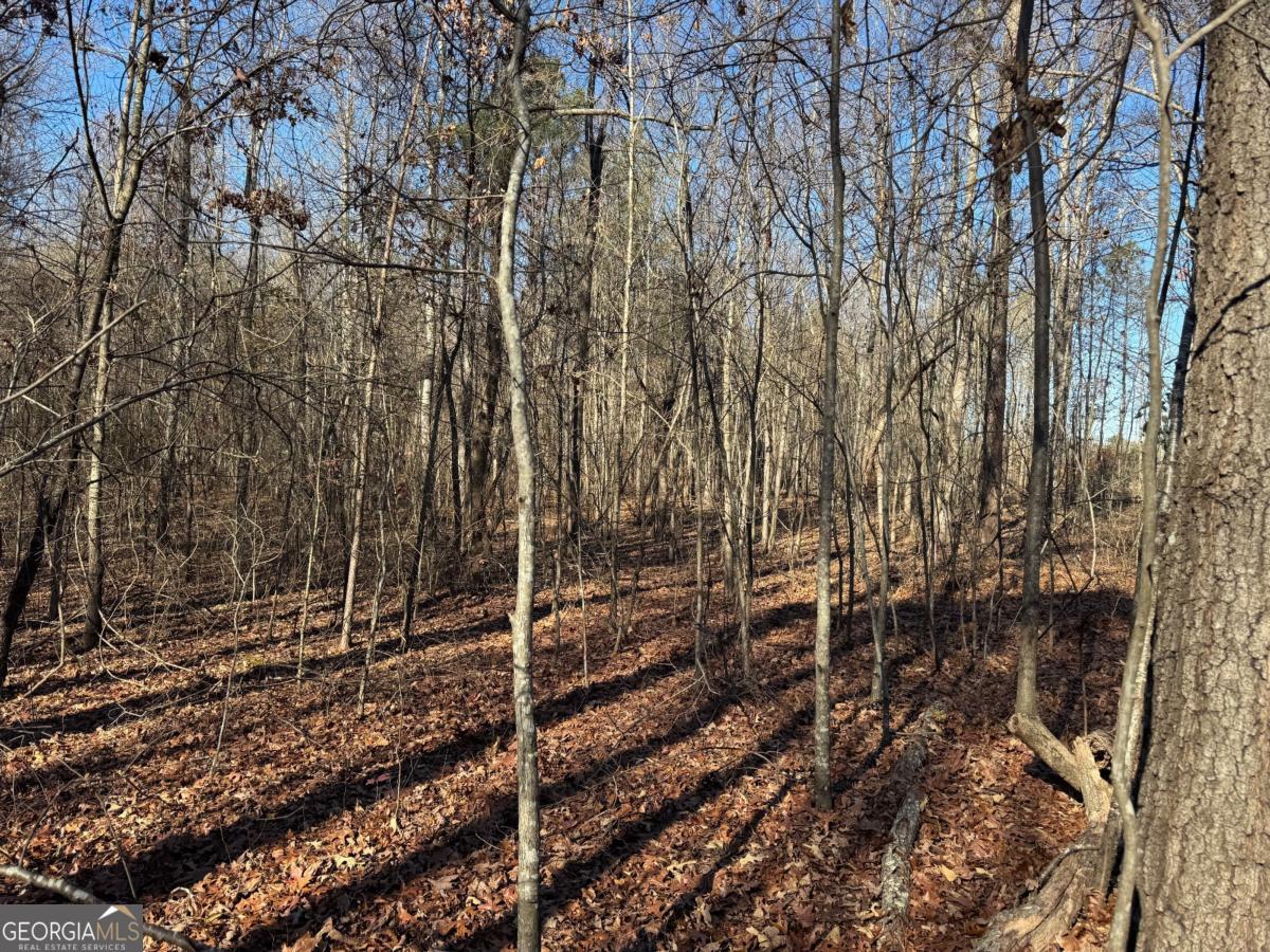 6601 Hog Mountain Hwy - Hwy 53 PARCEL B - 3 ACRES