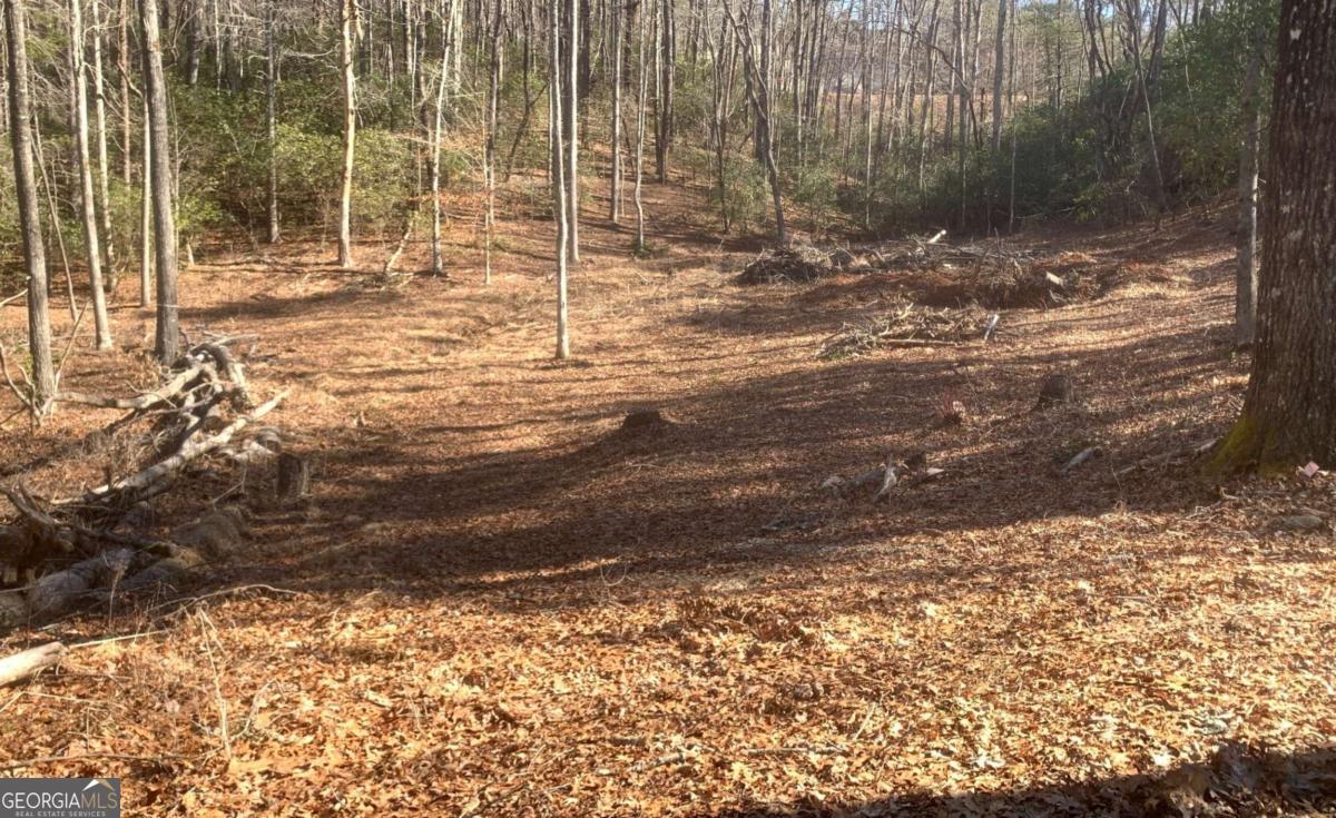 This beautiful, partially cleared lot offers nearly 3 acres of rolling terrain, providing multiple ideal building sites for your dream home perfect for full-time residence or a peaceful getaway. A power box is already installed, making it easier to get started. Located directly across from Waterfall Country Club and just minutes from Lake Burton, the Tallulah River, and endless hiking trails, this property is a rare opportunity to enjoy mountain living with unbeatable convenience!