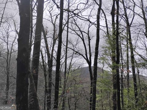 0 LOT #289 Cobblewood Trail Sky Valley GA 30537
