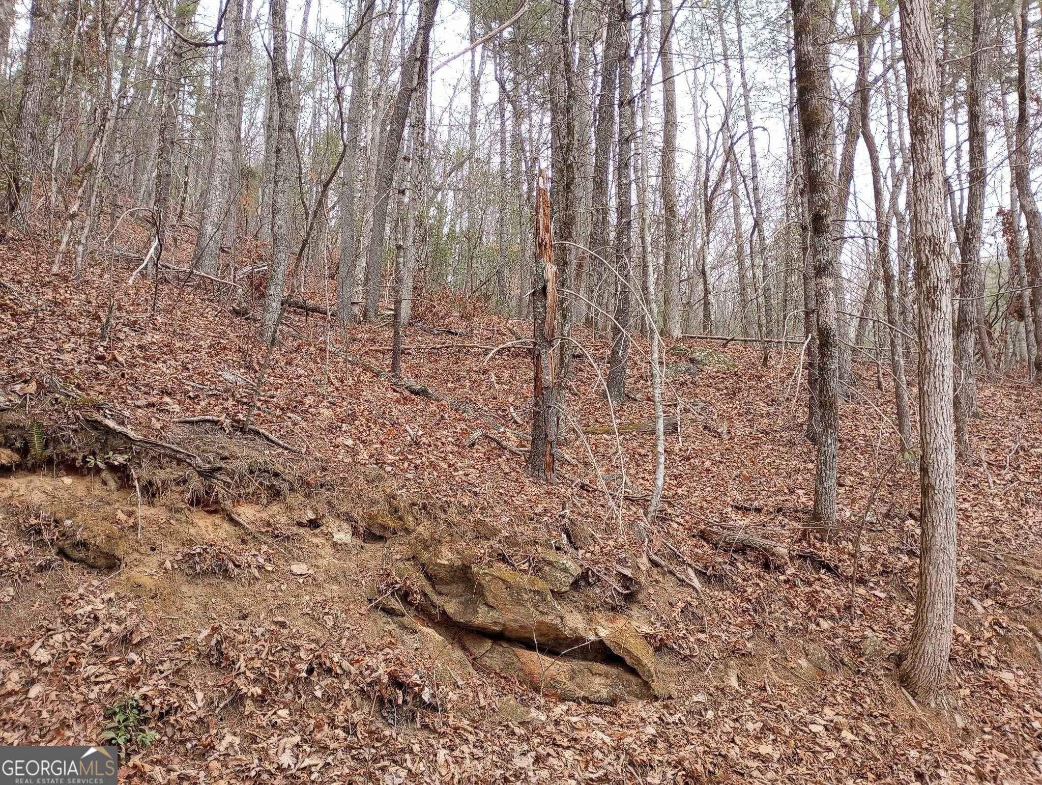 0 LOT #289 Cobblewood TRL