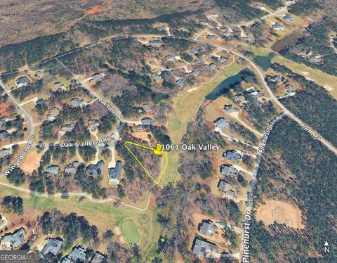 Photo of 1061 Oak Valley Road, Greensboro, GA 30642 (MLS # 10653942)