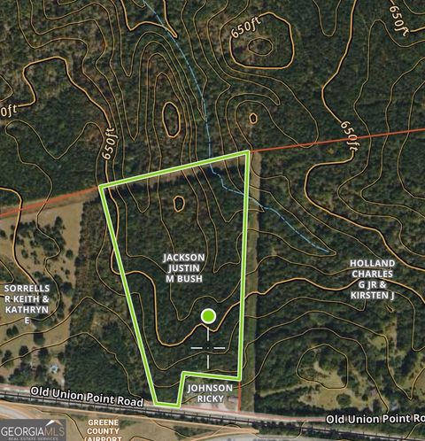 Photo of N/A Old Union Point Road, greensboro, GA 30642 (MLS # 10771736)