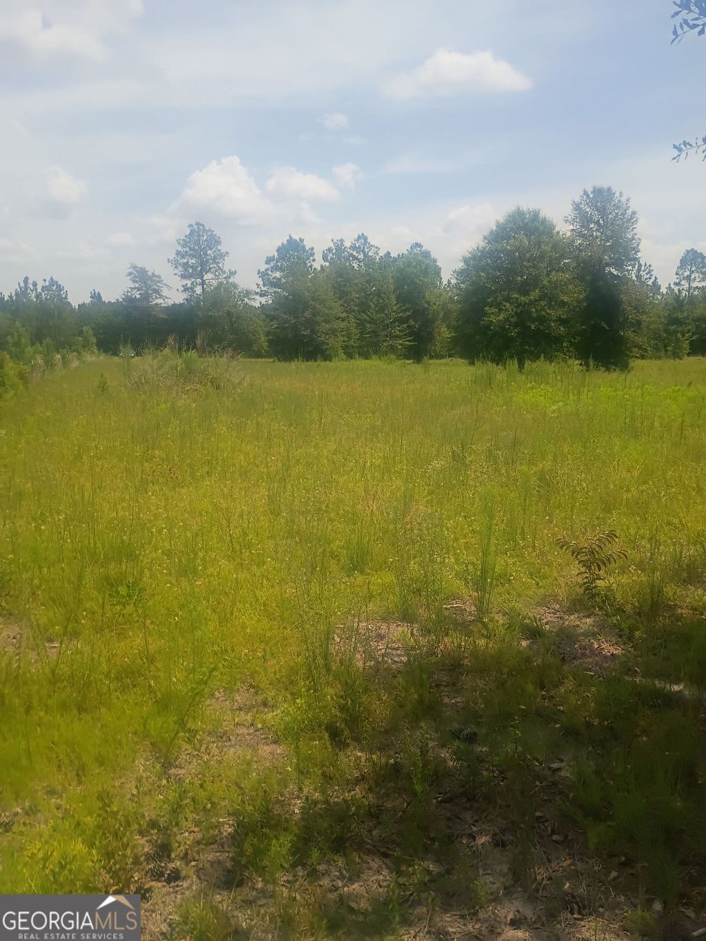 Photo of 608 Scottland Towns Road, McRae, GA 31055 (MLS # 10812610)