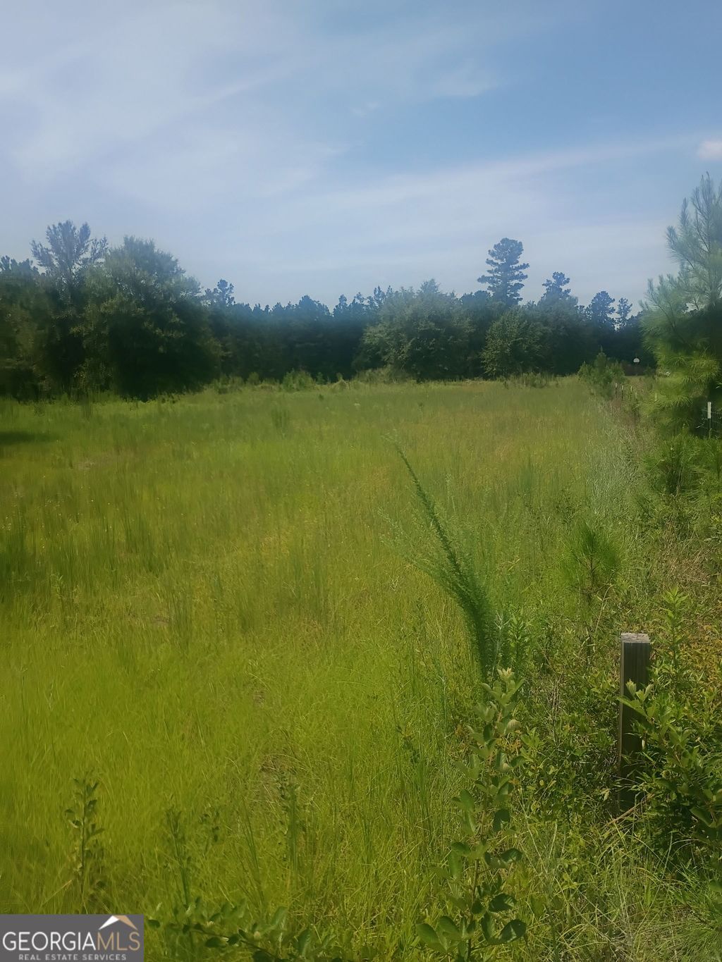 Photo of 608 Scottland Towns Road, McRae, GA 31055 (MLS # 10812610)