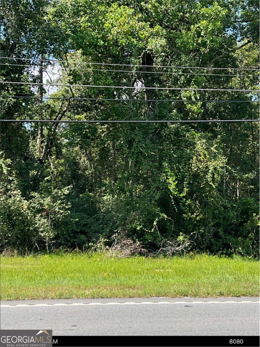 Photo of 0 S Ga Hwy 341, Jesup, GA 31545 (MLS # 10692021)