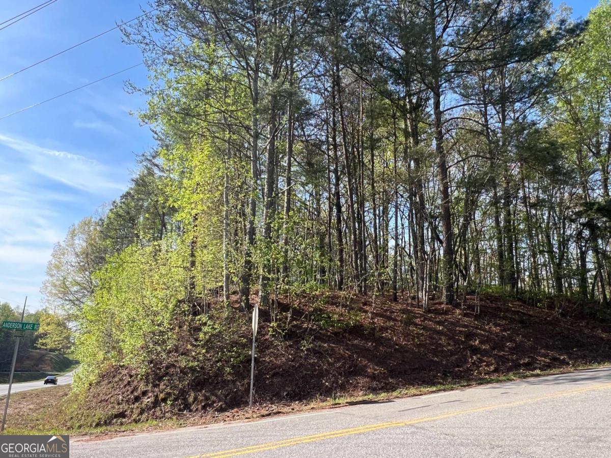 6425 Anderson Lake RD