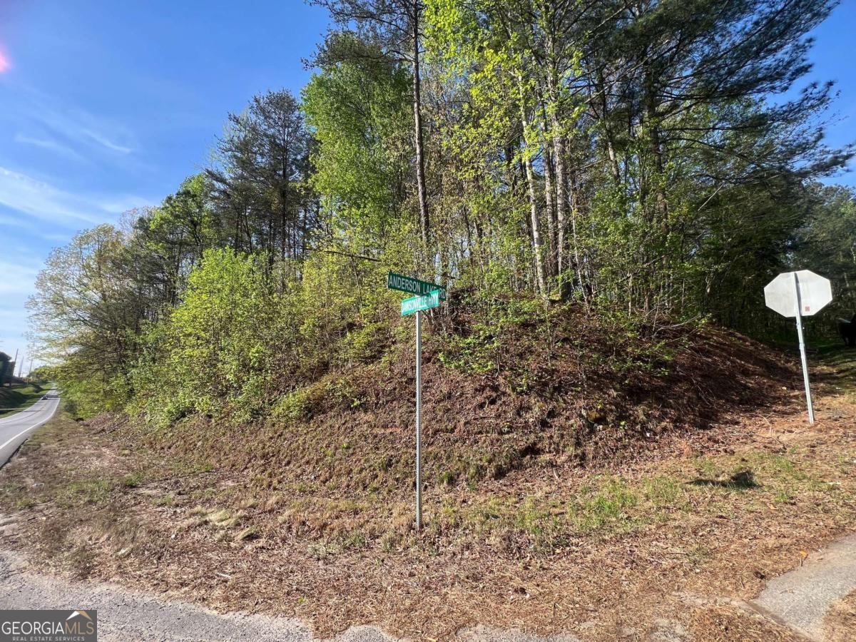 6425 Anderson Lake RD