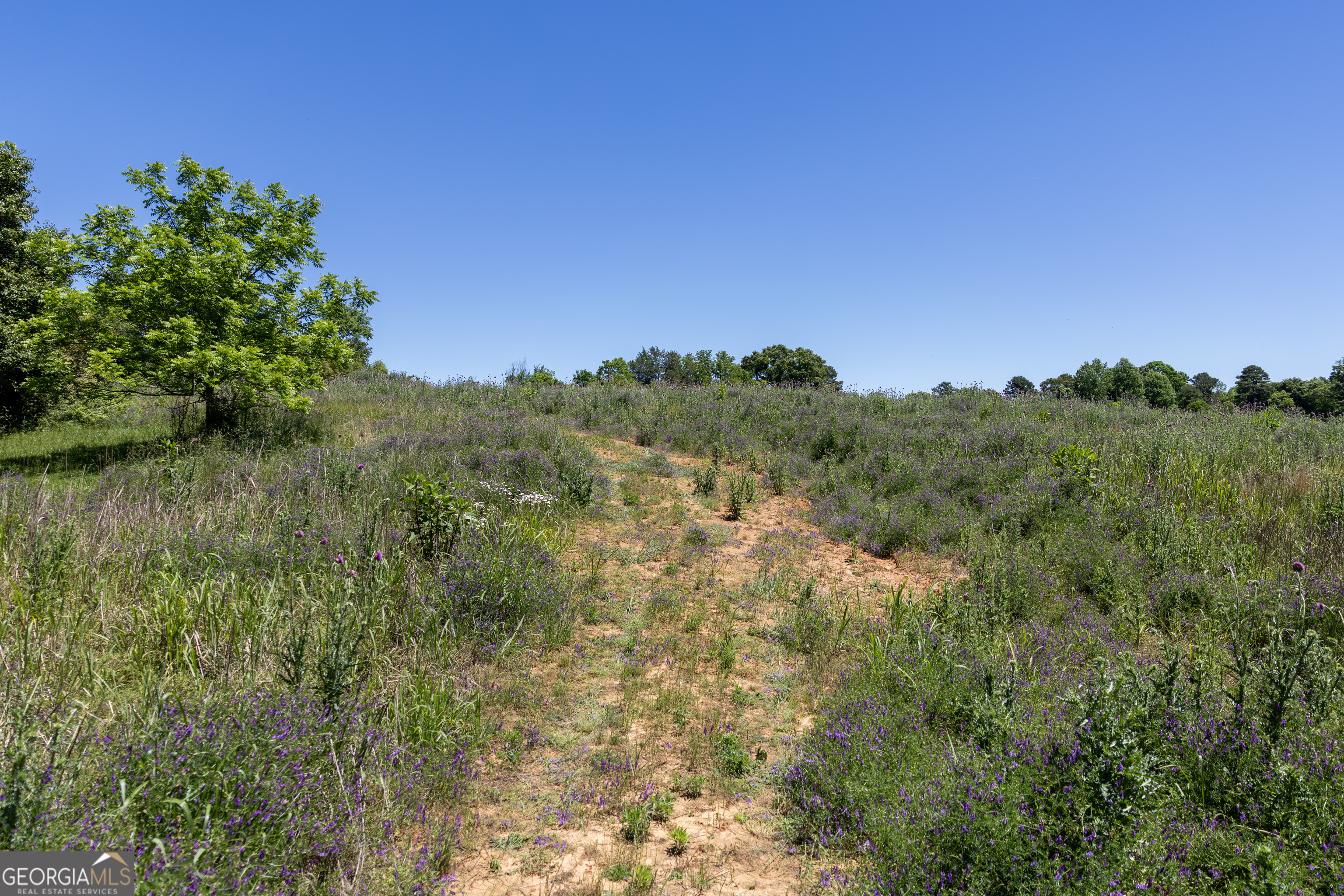 3600 Pea Ridge RD