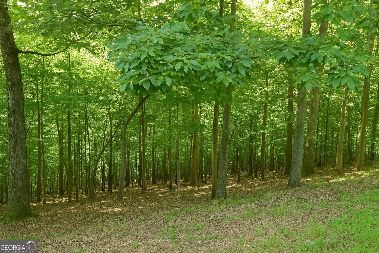 PRICE ADJUSTMENT! Discover the perfect opportunity to build your dream retreat in the heart of the North Georgia mountains! This prime homesite is located within the desirable, gated community of Coosawattee River Resort in beautiful Ellijay, GA. With power, public water, internet, and telephone already available, all that's left is to bring your builder and install a septic system-your mountain getaway is closer than you think! This lot is ideal for a full-time residence, a weekend escape, a vacation rental, or a smart investment property. Need a builder? can connect you We can connect you with a trusted local professional to bring your vision to life. Enjoy a wealth of resort-style amenities, including paved roads, indoor and outdoor pools, tennis courts, river access, fishing ponds, fitness facilities, hiking trails, and more-there's something for everyone here. Don't miss this chance to claim your own piece of paradise in one of Ellijay's most sought-after communities. Schedule your visit today and start planning your perfect mountain lifestyle!