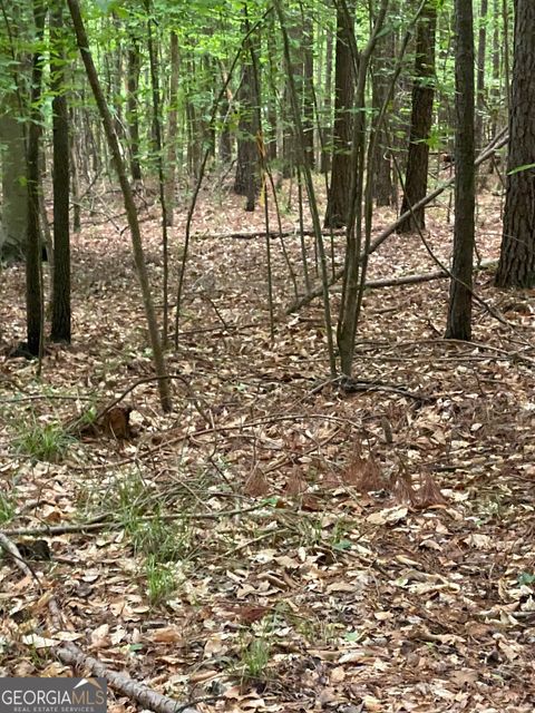 0 Cedar Grove RD Buckhead GA 30625