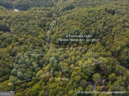 PANORAMA DR, SAUTEE NACOOCHEE, GA 30571 - Image f50bf7fdfb560ba92bbcf09a4ebf86ad/3990716402