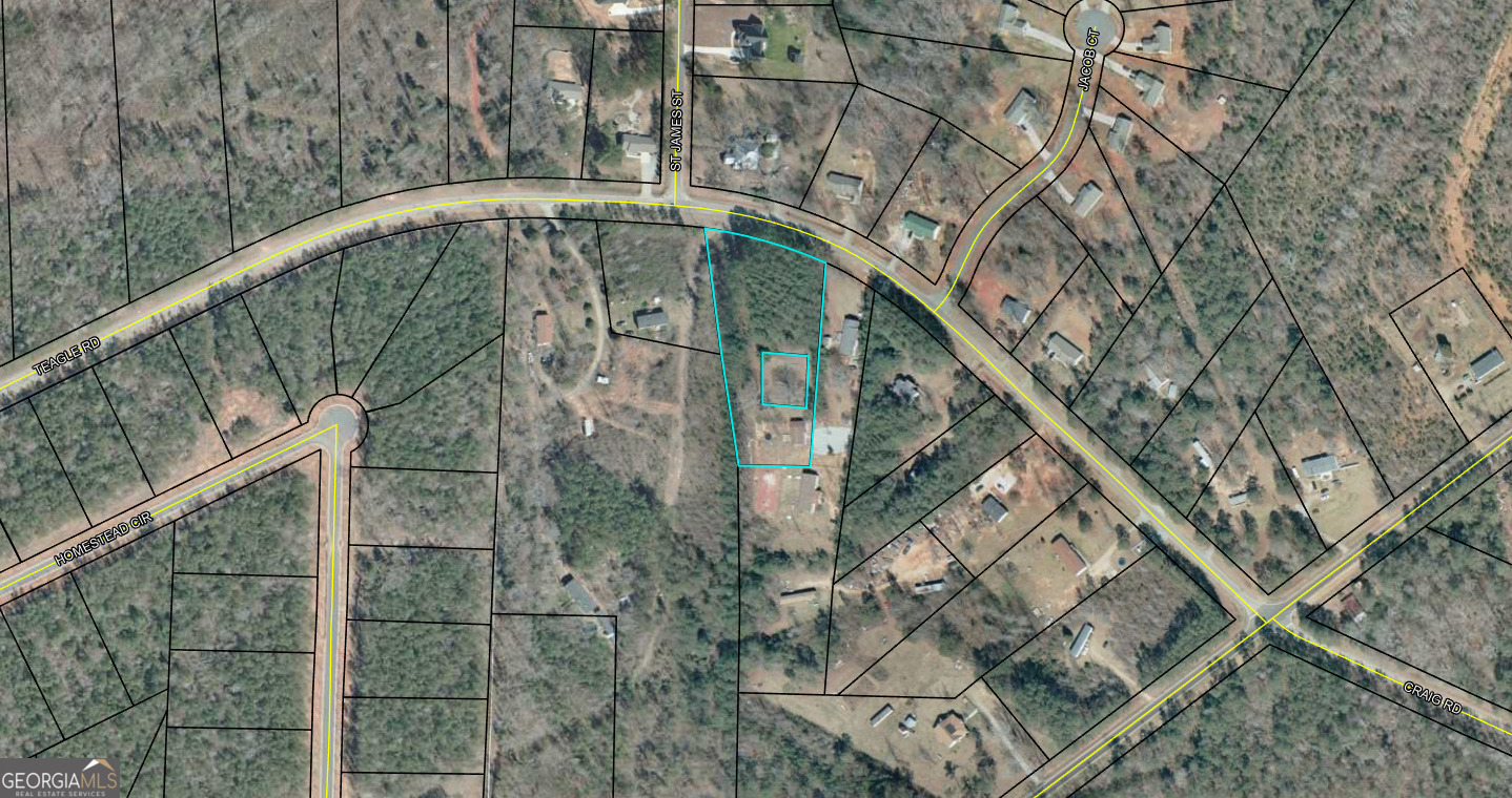 Enjoy the charm of Monroe County living with this spacious property on quiet Tingle Road! Surrounded by rolling countryside and just minutes from downtown Forsyth, this lot offers the perfect blend of privacy and convenience. Easy access to I-75 makes commuting to Macon or Atlanta simple, while still enjoying small-town peace and quiet. Bring your vision to life whether you're dreaming of a custom home, a mini-farm, or a private retreat, this location provides endless possibilities. Don't miss the chance to secure your piece of Forsyth's growing community!