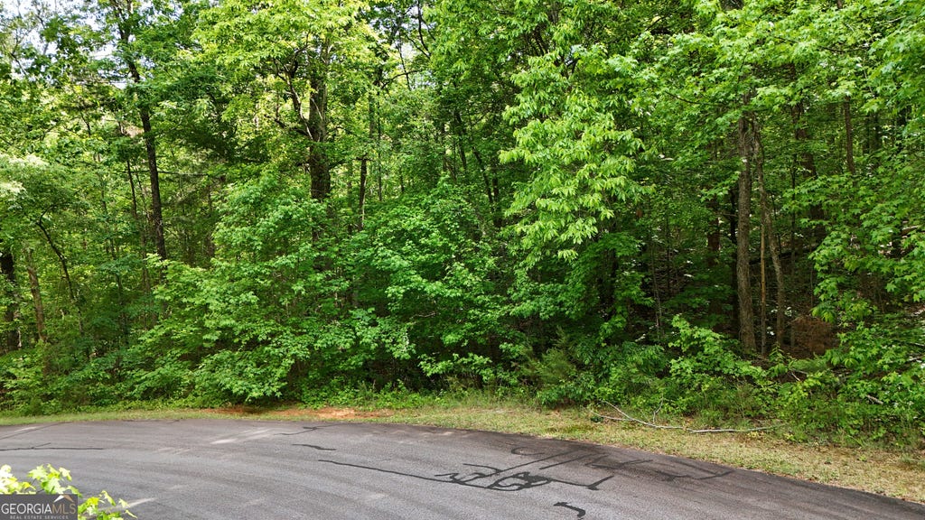 Photo of 0 Terry Court, Clarkesville, GA 30523 (MLS # 10815157)