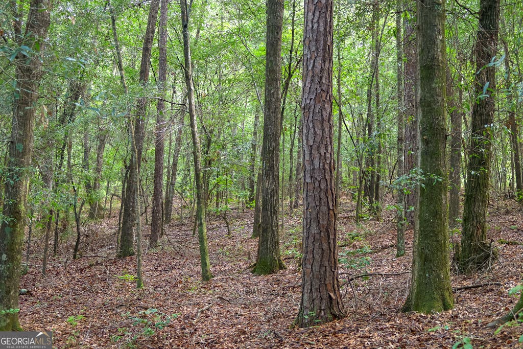 Photo of 201 Ebony Lounge Road, Milledgeville, GA 31061 (MLS # 10812109)