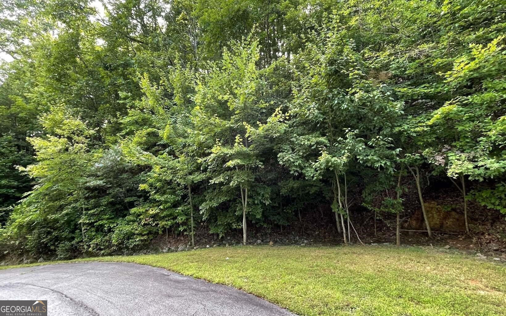 BEAUTIFULLY WOODED LOT IN THE NORTH GEORGIA MOUNTAINS!! THIS lot is perfectly situated overlooking mountain peaks. The views are long range and close up. Underground utilities and paved neighborhood roads. Community water is available.