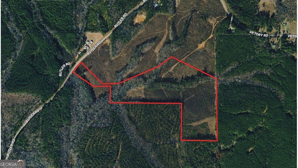Photo of 0 Butler Road, Franklin, GA 30217 (MLS # 10851263)