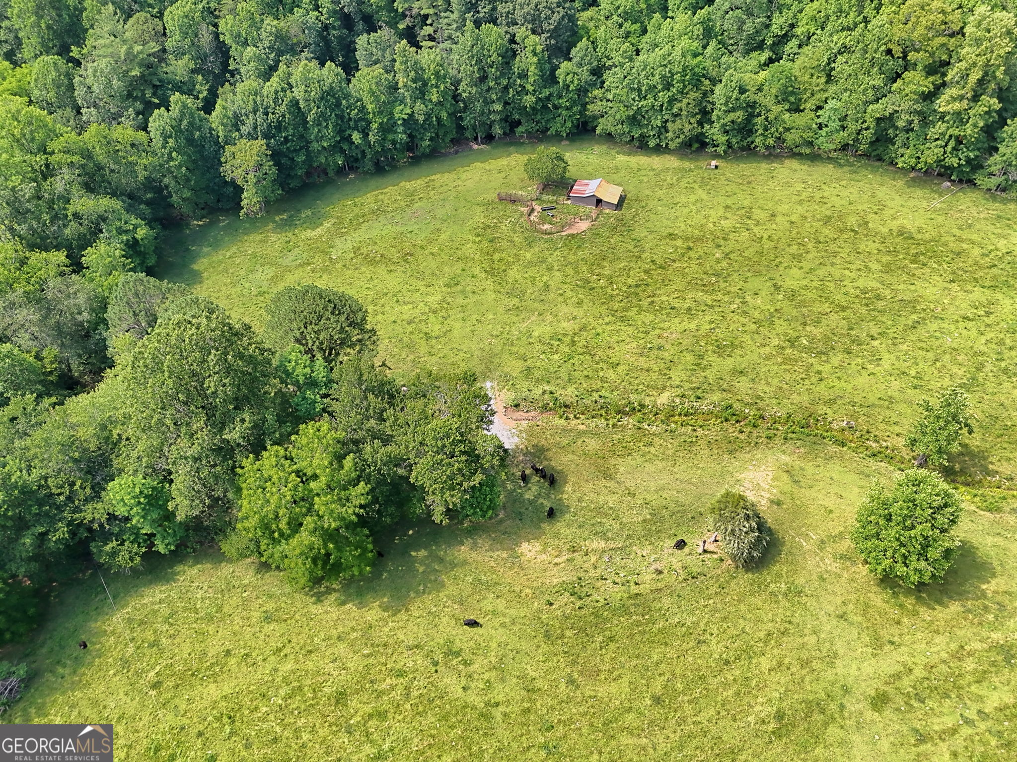 Rabun Gap, Georgia 30568, United States, ,Land,Active,160553