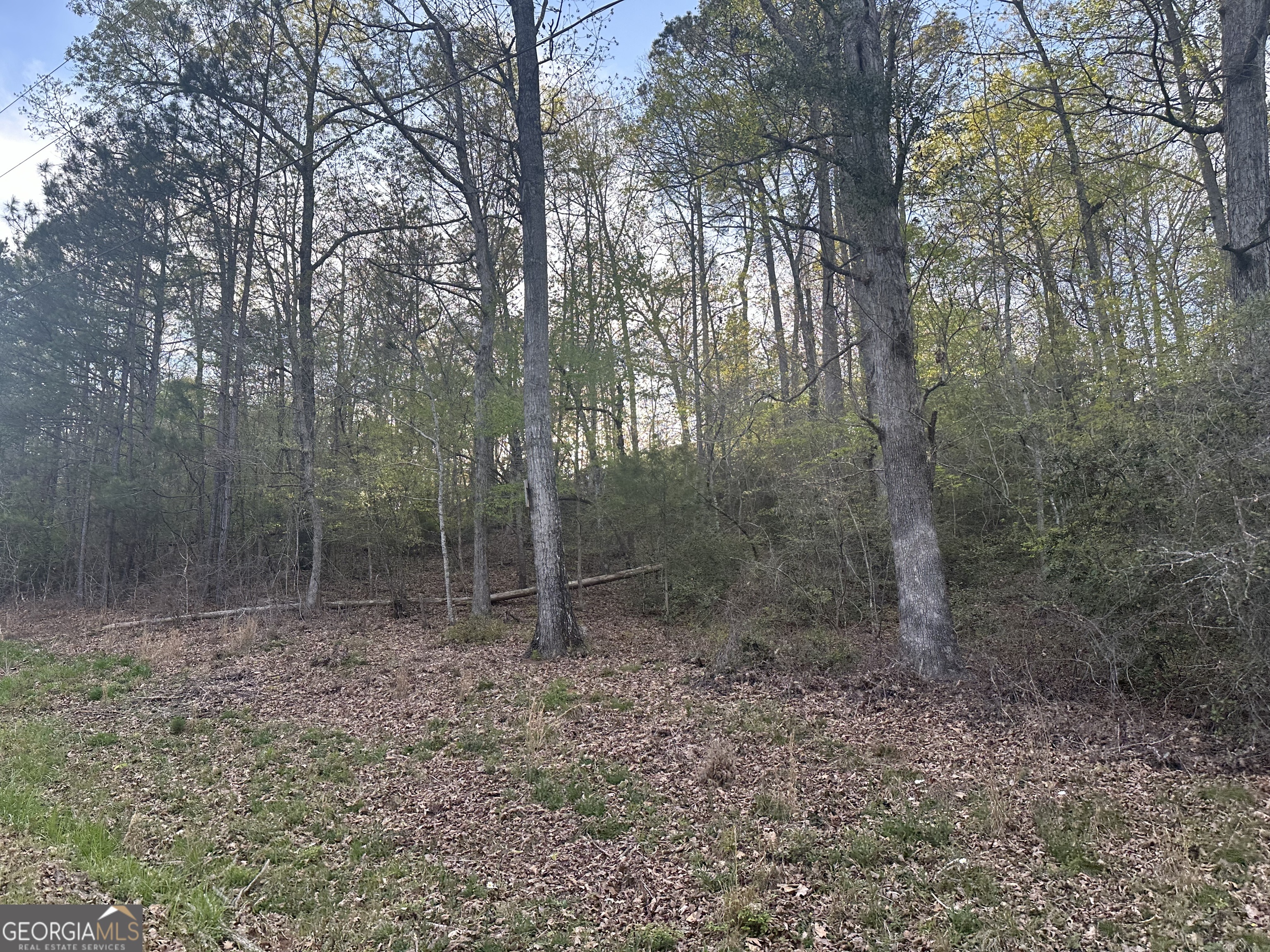 Photo 1 of 5 — 1141 Skipstone DR, Watkinsville, GA 30677
