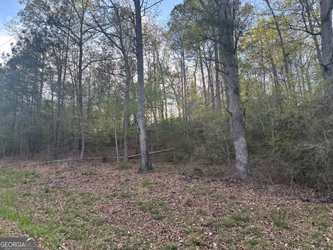 Photo of 1141 Skipstone Drive, Watkinsville, GA 30677 (MLS # 10807523)