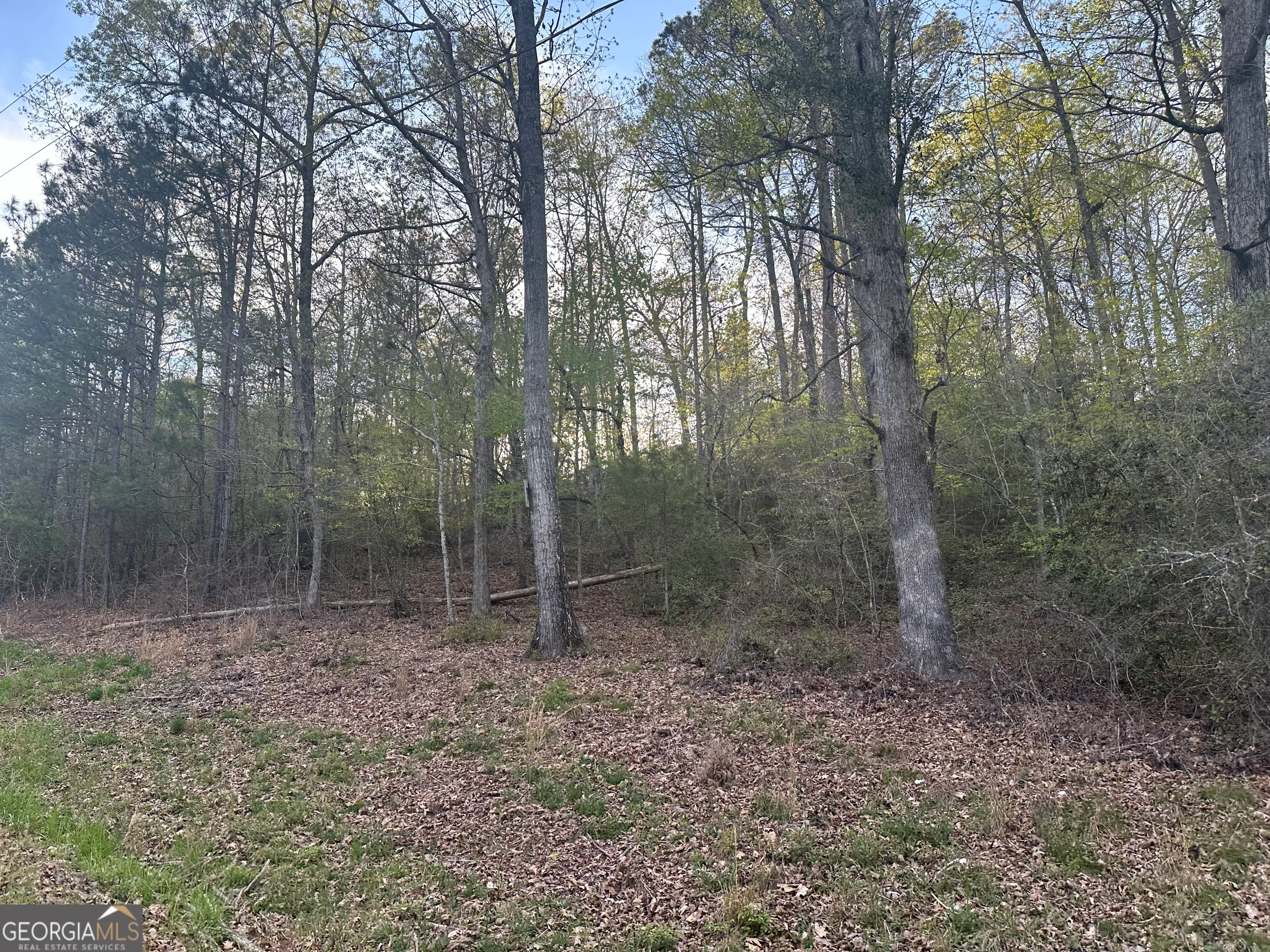 1141 Skipstone Drive