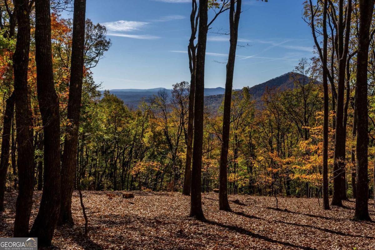 Incredible Privacy, Mountain Views, and a Motivated Seller-Bring Your Offers! This 40.5-acre mountain paradise in the gated Windsong community offers rare freedom: no square footage minimums, no architectural or style restrictions, and both short- and long-term rentals allowed. Personal hunting is allowed! Build a rustic cabin, a luxury retreat, or anything in between-just no mobile/manufactured homes. The property features paved road access, underground power, and high-speed internet at the road. A wide, cleared path leads to a level build site with panoramic mountain and lake views-protected by your own land. Behind the homesite, explore acres of hardwood forest teeming with wildlife. Enjoy your private stream and cascading waterfalls-ideal for trails, camping, or simply escaping it all. Year-round privacy! Limitless potential!