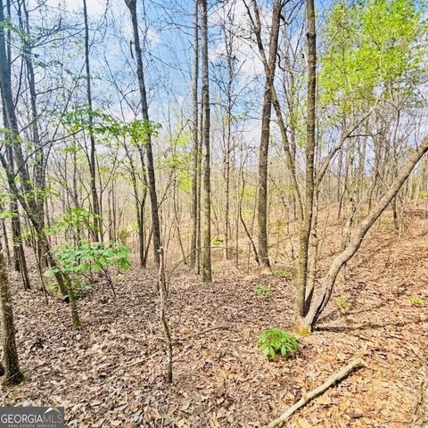 Photo of 0 T Johnson Road, Ranger, GA 30734 (MLS # 10734706)