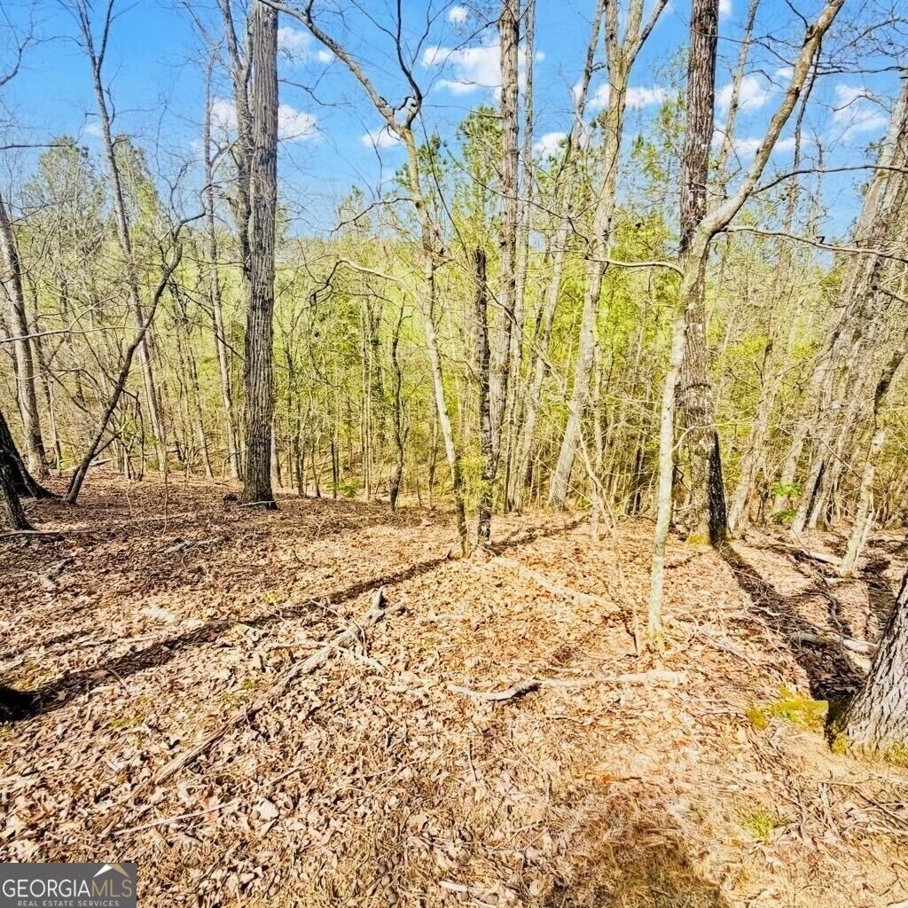 Photo of 0 T Johnson Road, Ranger, GA 30734 (MLS # 10734706)