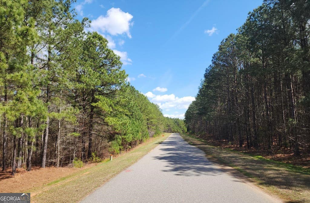 Photo of 1135 Watersedge Cove, Tignall, GA 30668 (MLS # 10827385)