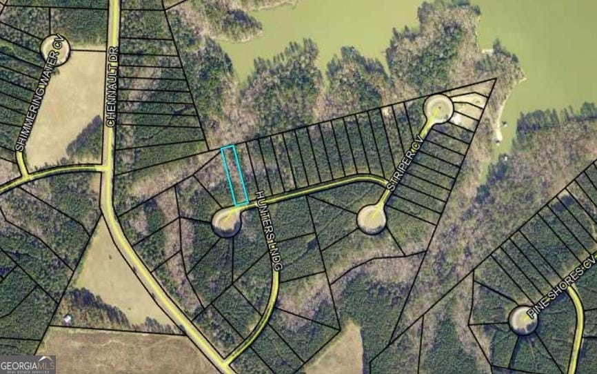 Photo of 1135 Watersedge Cove, Tignall, GA 30668 (MLS # 10827385)