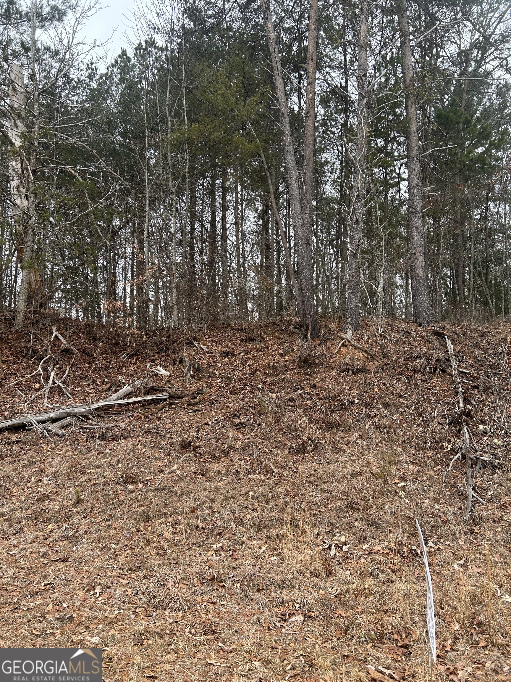 TRACT 3 E Silver Shoals Rd