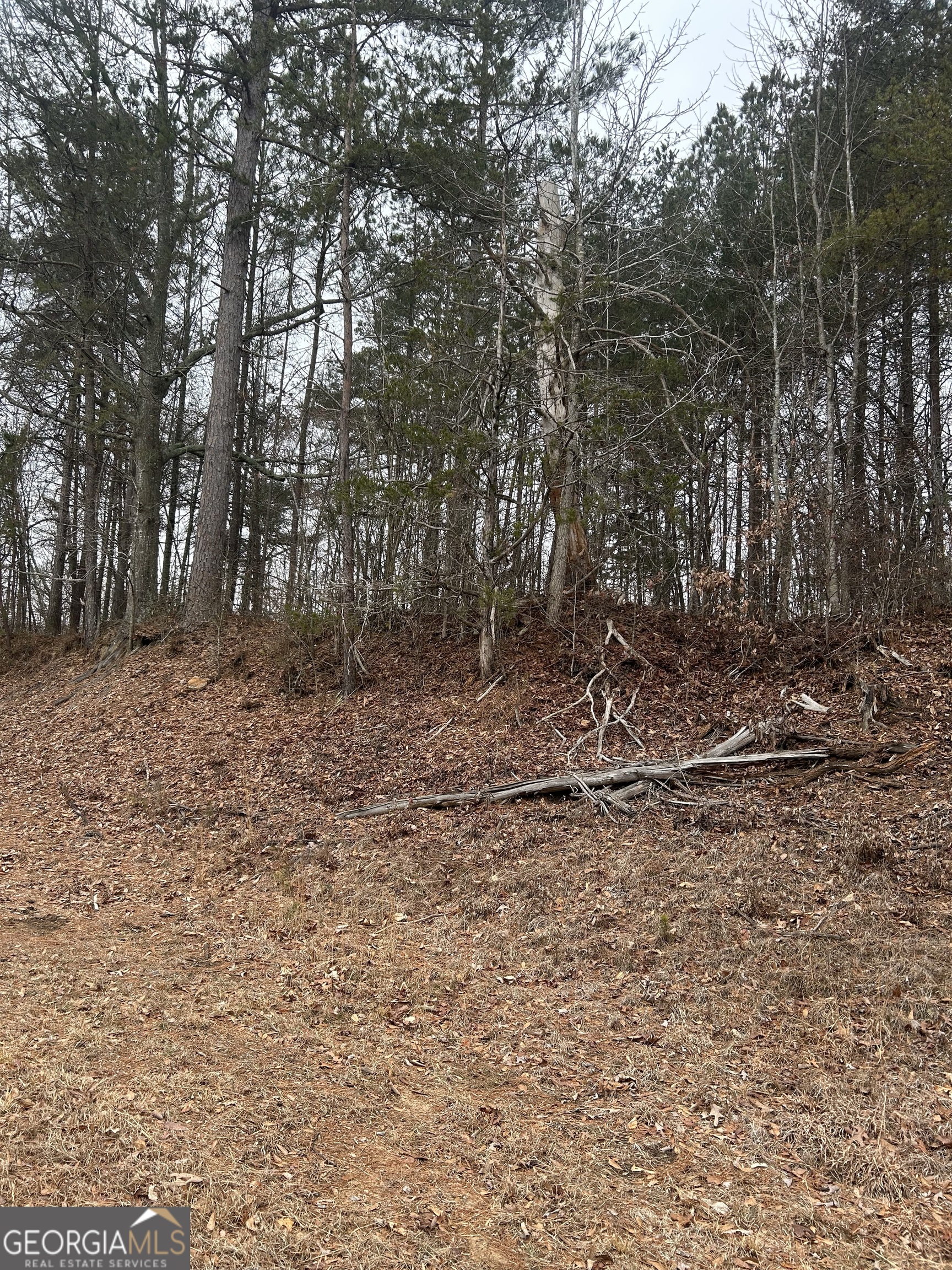 TRACT 3 E Silver Shoals Rd