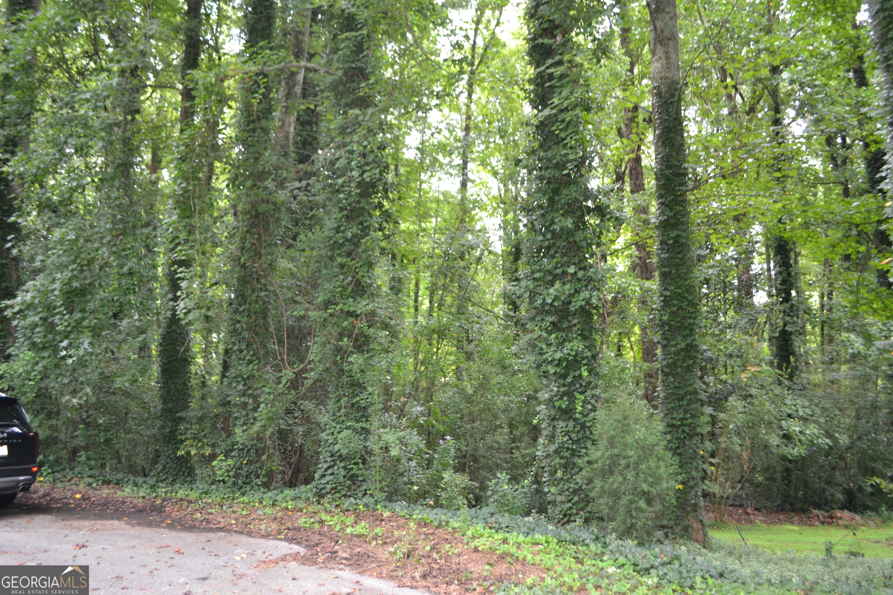 THE SELLER IS SELLING 2 ADJOINING LOTS: 6150 S. SKYLINE DRIVE AND 6166 S. SKYLINE DRIVE. THE ACREAGE OF THE LOTS TOTAL 1.1668 ACRES AND IS LOCATED ON A DEAD END STREET. THESE LOTS MAKE A PERFECT PLACE IN DOUGLAS COUNTY TO BUILD YOUR DREAM HOME! A SOIL STUDY HAS ALREADY BEEN COMPLETED. THE POSSIBILITIES ARE ENDLESS ON THIS CUL-DE-SAC LOT! LOCATED IN A SOUGHT AFTER SCHOOL DISTRICT! PUBLIC WATER, NATURAL GAS AND ELECTRICITY ARE ACCESSIBLE. BEAUTIFUL WOODED LOTS SURROUNDED BY OTHER ESTABLISHED HOMES IN THE SUBDIVISION. THE LAND HAS CLOSE PROXIMITY TO I-20, ARBOR PLACE MALL, RESTAURANTS, SCHOOLS AND HARTSFIELD JACKSON ATLANTA AIRPORT.