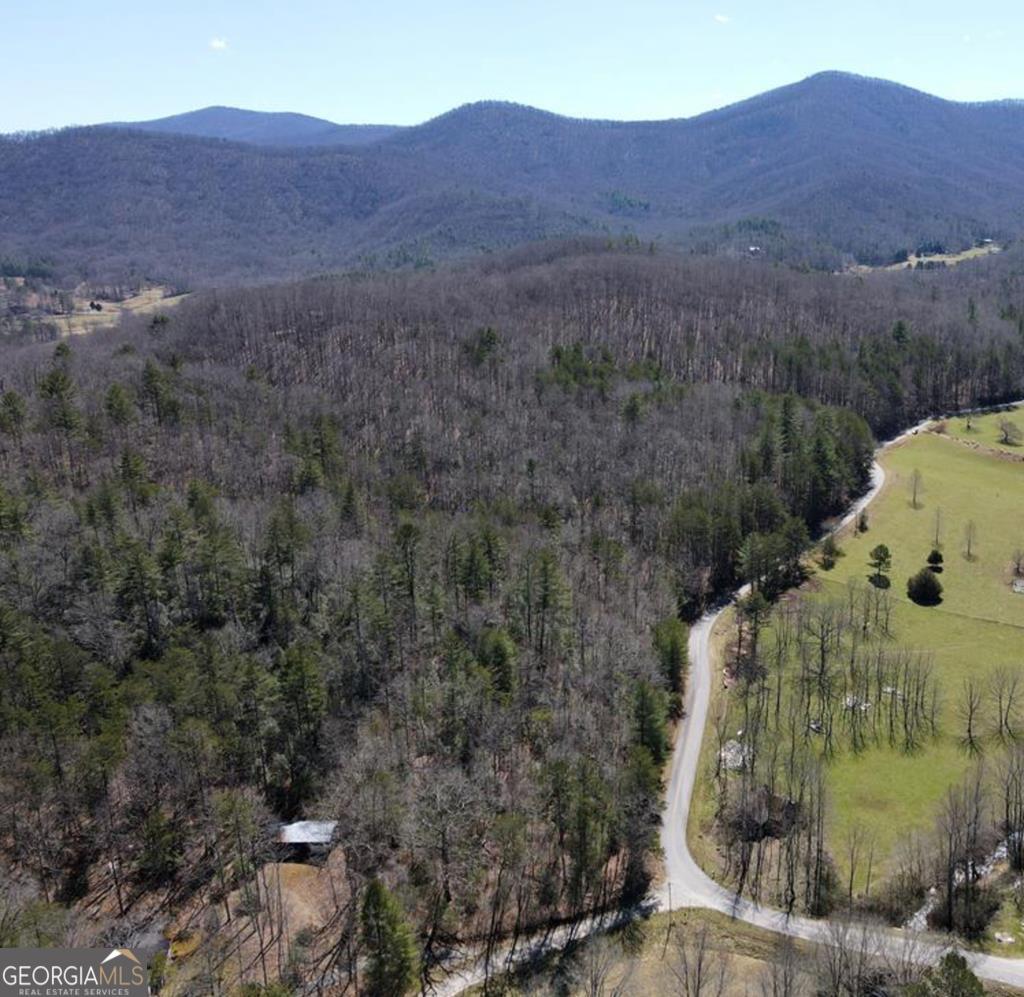 38.56 ACRES Mount Pleasant Church RD