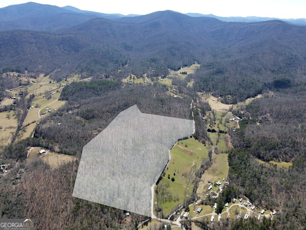 38.56 ACRES Mount Pleasant Church RD