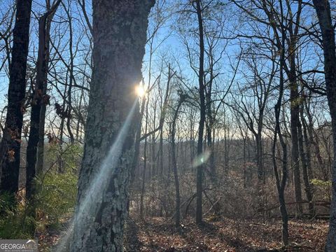 1171 Hunter DR Ranger GA 30734