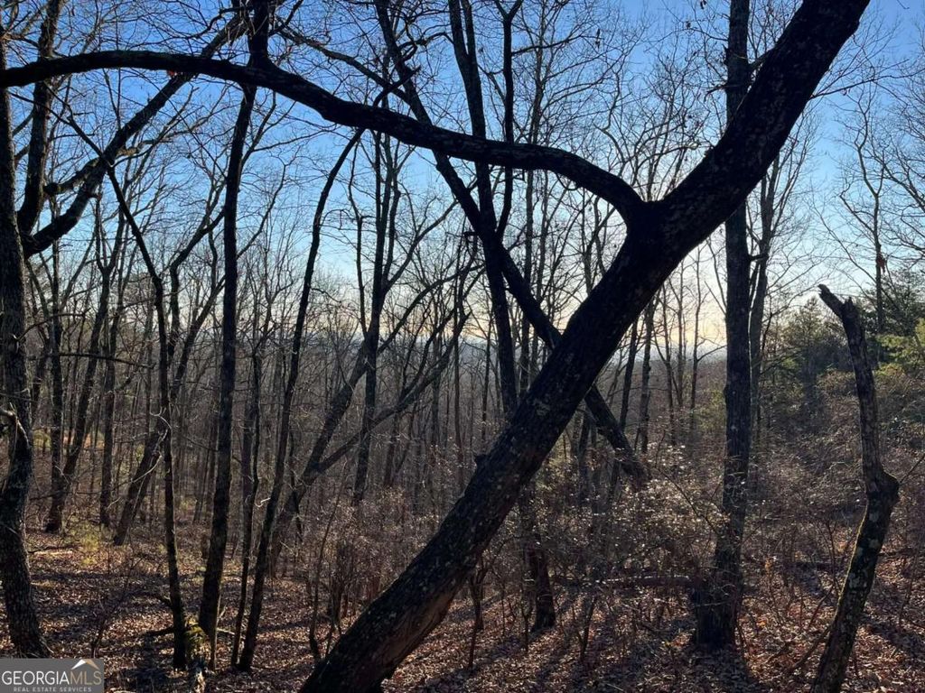 Photo of 1171 Hunter Drive, Ranger, GA 30734 (MLS # 10661814)