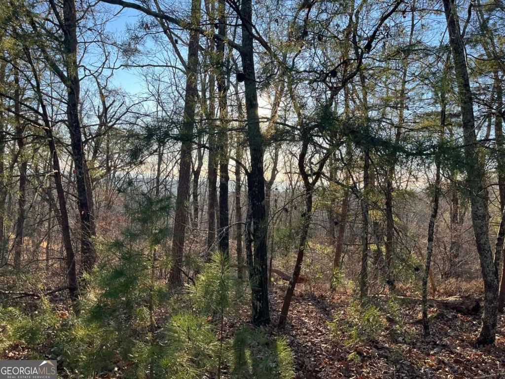 Photo of 1171 Hunter Drive, Ranger, GA 30734 (MLS # 10661814)