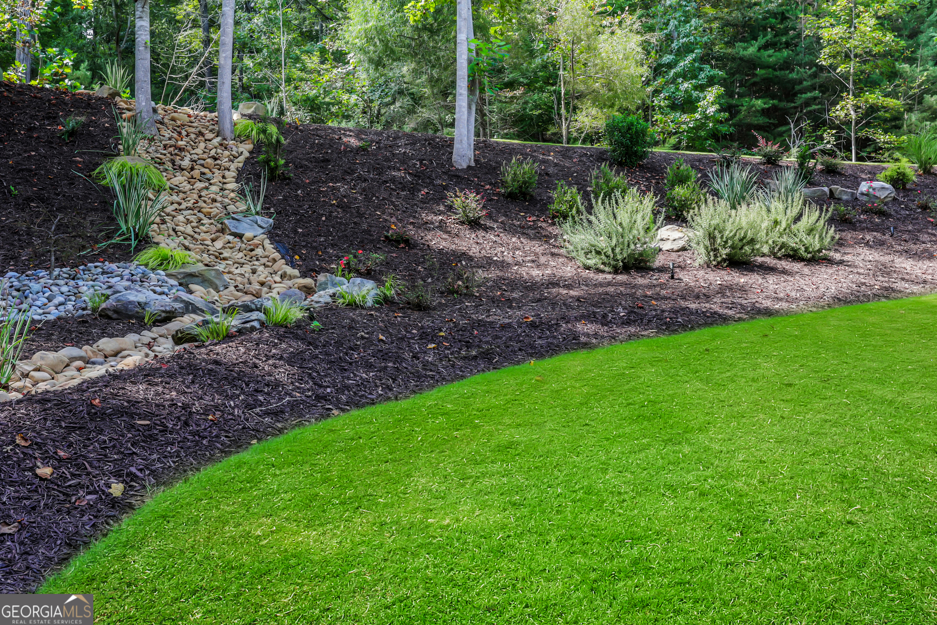 448 Golden Bear PASS