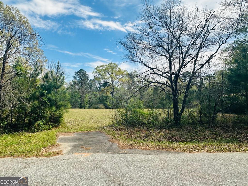 Photo of 206208 Webb Street, Warner Robins, GA 31093 (MLS # 10716853)