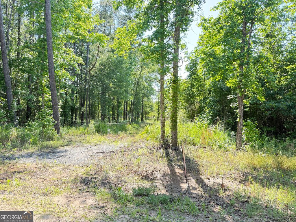 Photo of 0 Perkins Road, Barnesville, GA 30204 (MLS # 10625263)