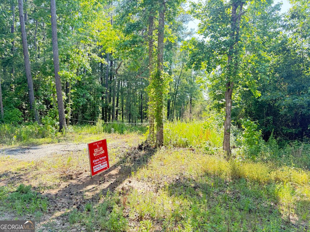 Photo of 0 Perkins Road, Barnesville, GA 30204 (MLS # 10625263)