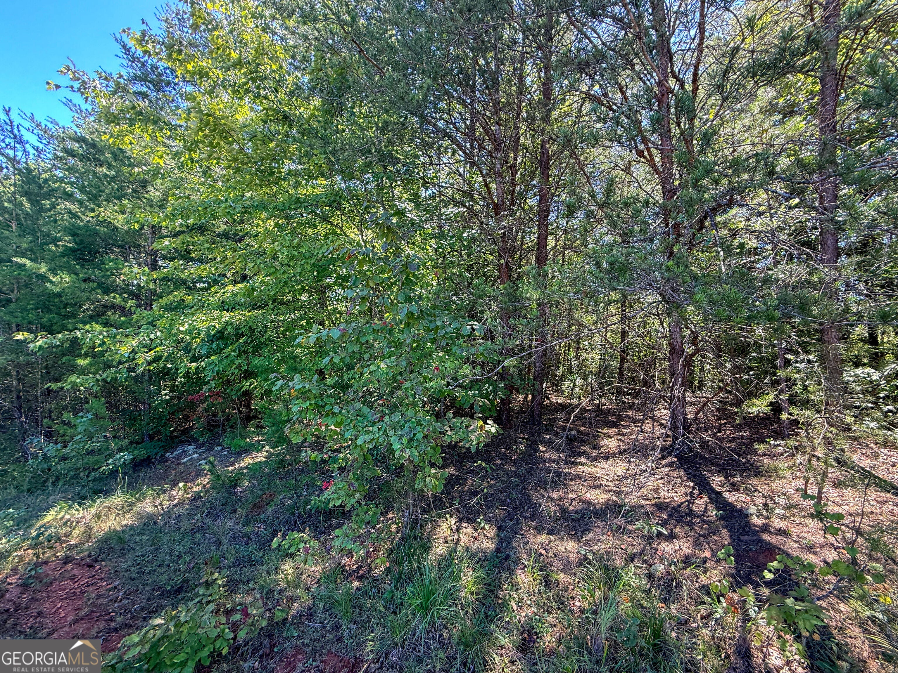 TRACT 1 Sunshine Ridge DR
