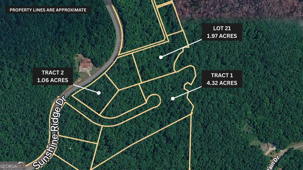 Photo of 1 Sunshine Ridge Drive, Toccoa, GA 30577 (MLS # 10845316)