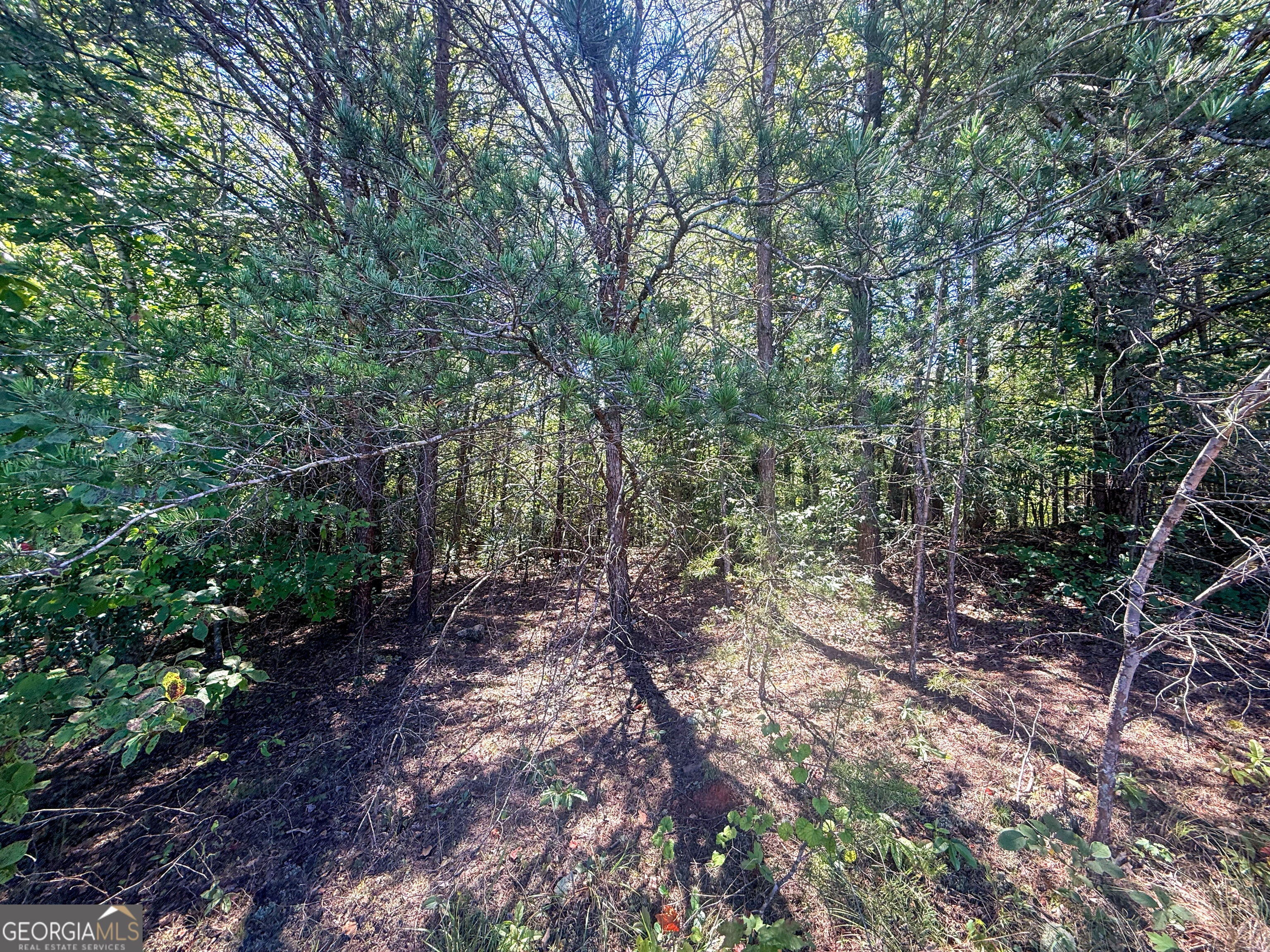 TRACT 1 Sunshine Ridge DR