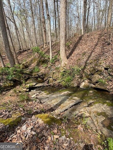 0 SW East Fairview RD Stockbridge GA 30281