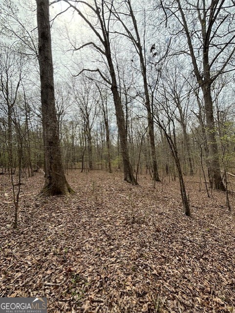 0 SW East Fairview RD