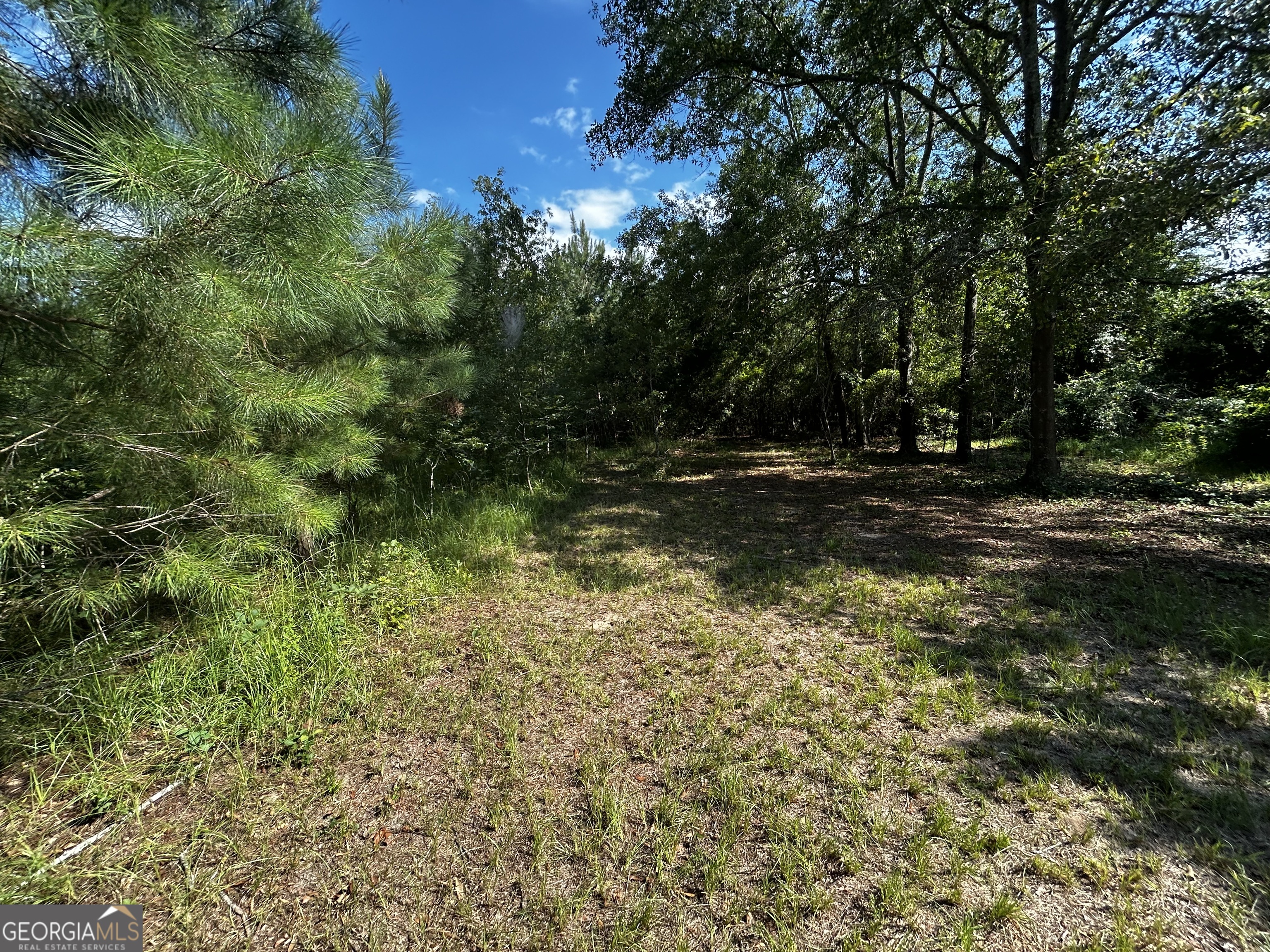 1787 Buddy Johnson RD