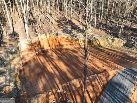 Photo of 1776 Mulberry Circle, Jasper, GA 30143 (MLS # 10676772)