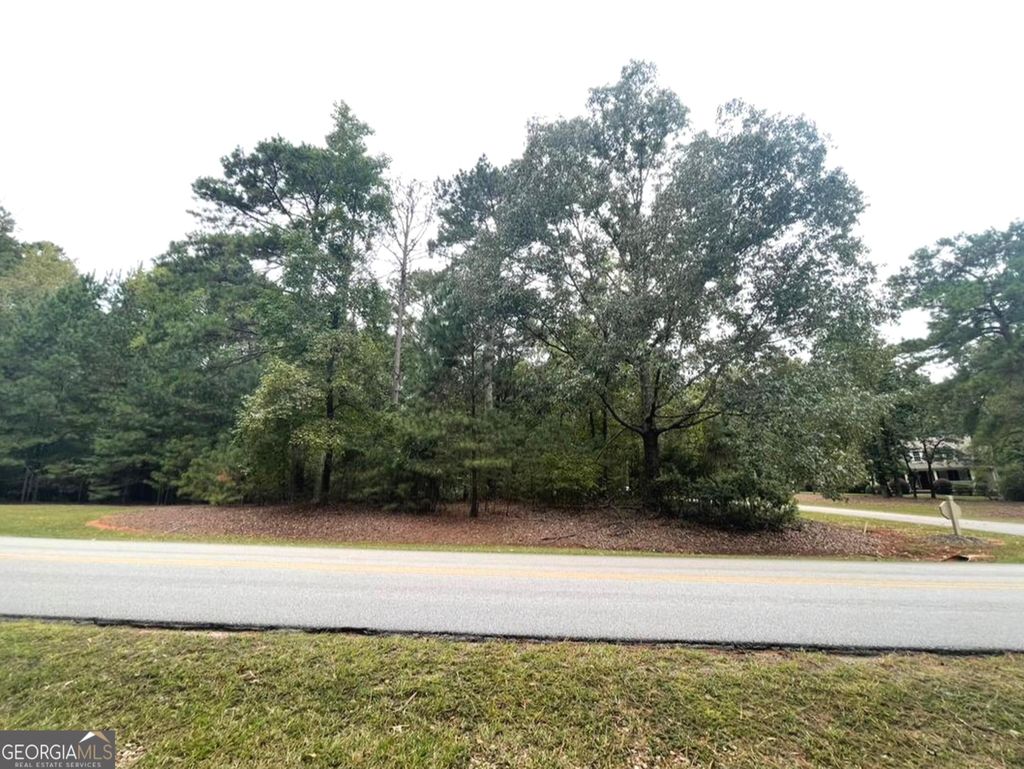 Photo of 101 Elizafield Ct, Eatonton, GA 31024 (MLS # 10629629)