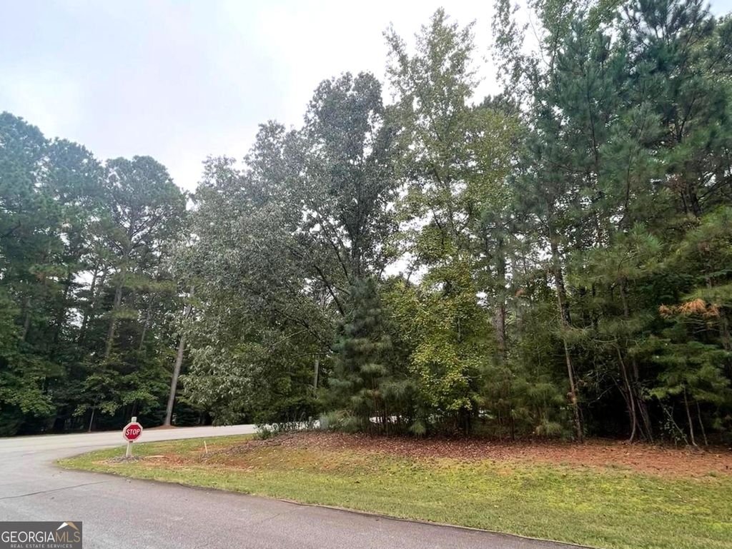 Photo of 101 Elizafield Ct, Eatonton, GA 31024 (MLS # 10629629)